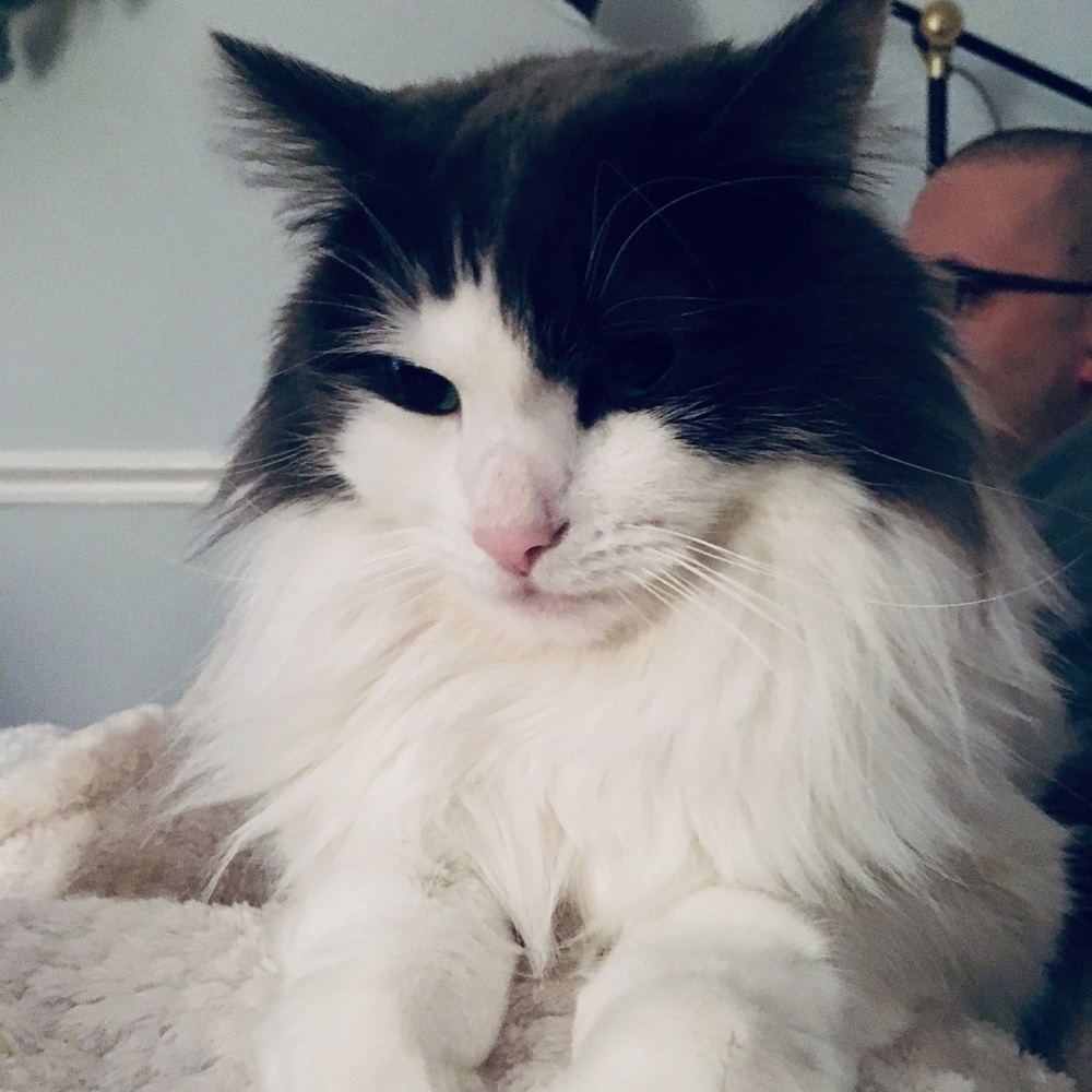 Meet your Posher, Anna